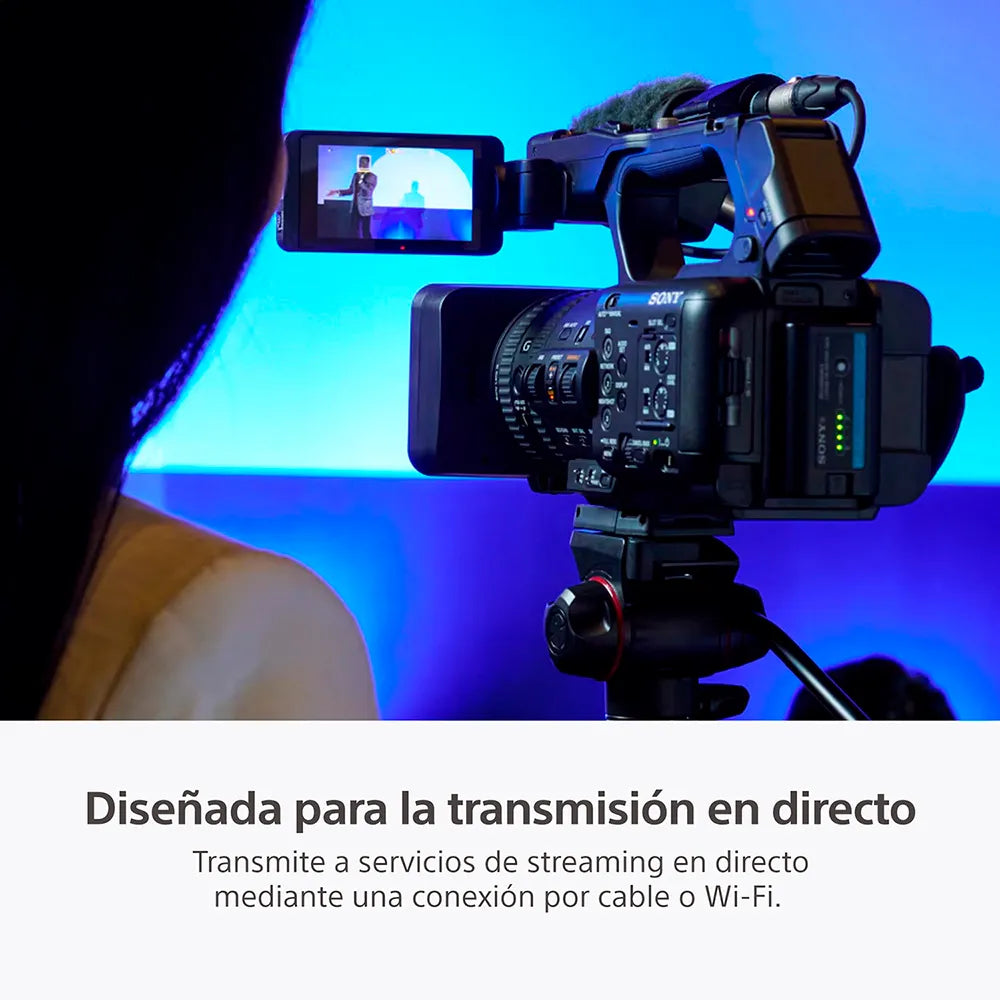 Cámara Profesional 4K HDR HXR-NX800