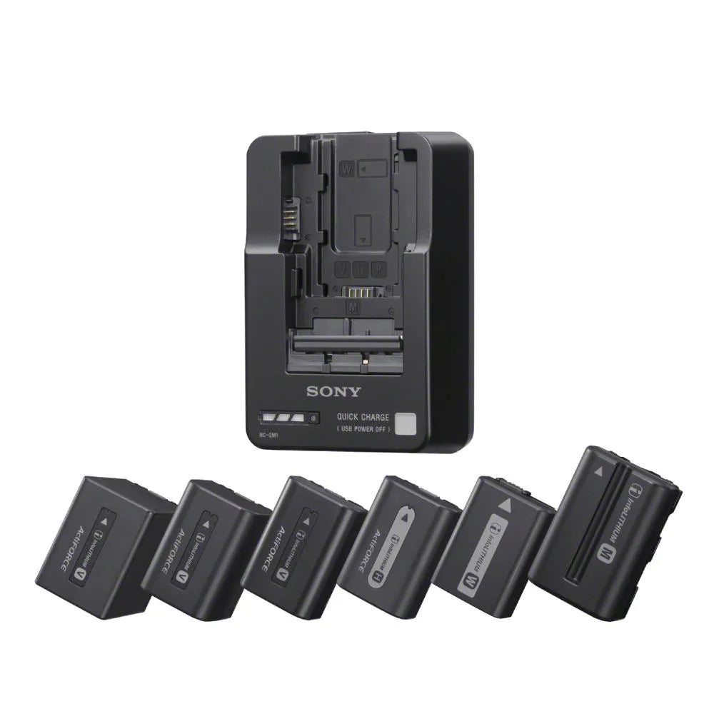 Cargador de batería BC-QM1//C E33