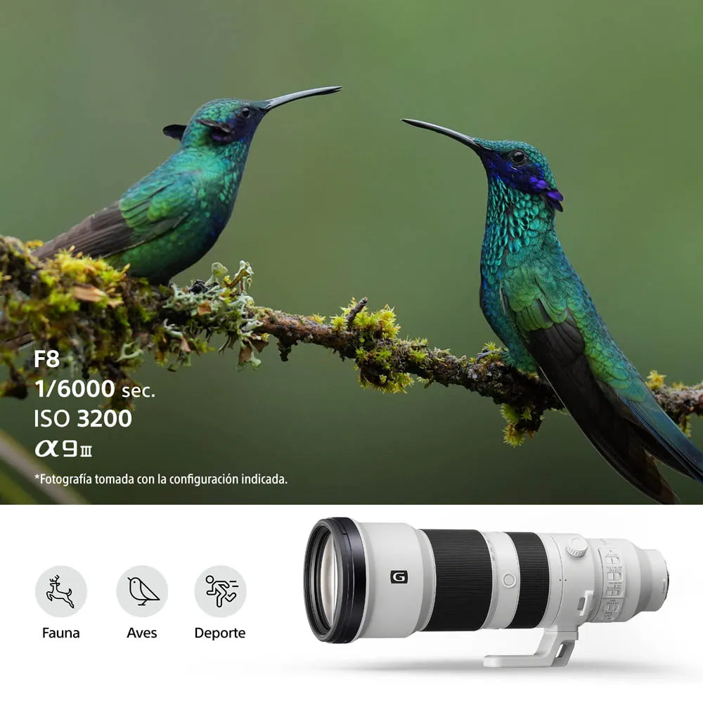 Lente FE 400-800 mm F6.3-8 G OSS SEL400800G