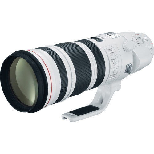 Objetivo Canon EF 200-400 mm f/4L IS USM con extensor 1,4x