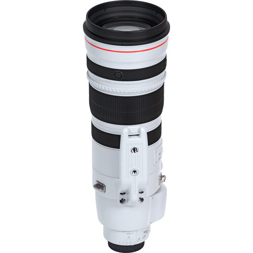 Objetivo Canon EF 200-400 mm f/4L IS USM con extensor 1,4x