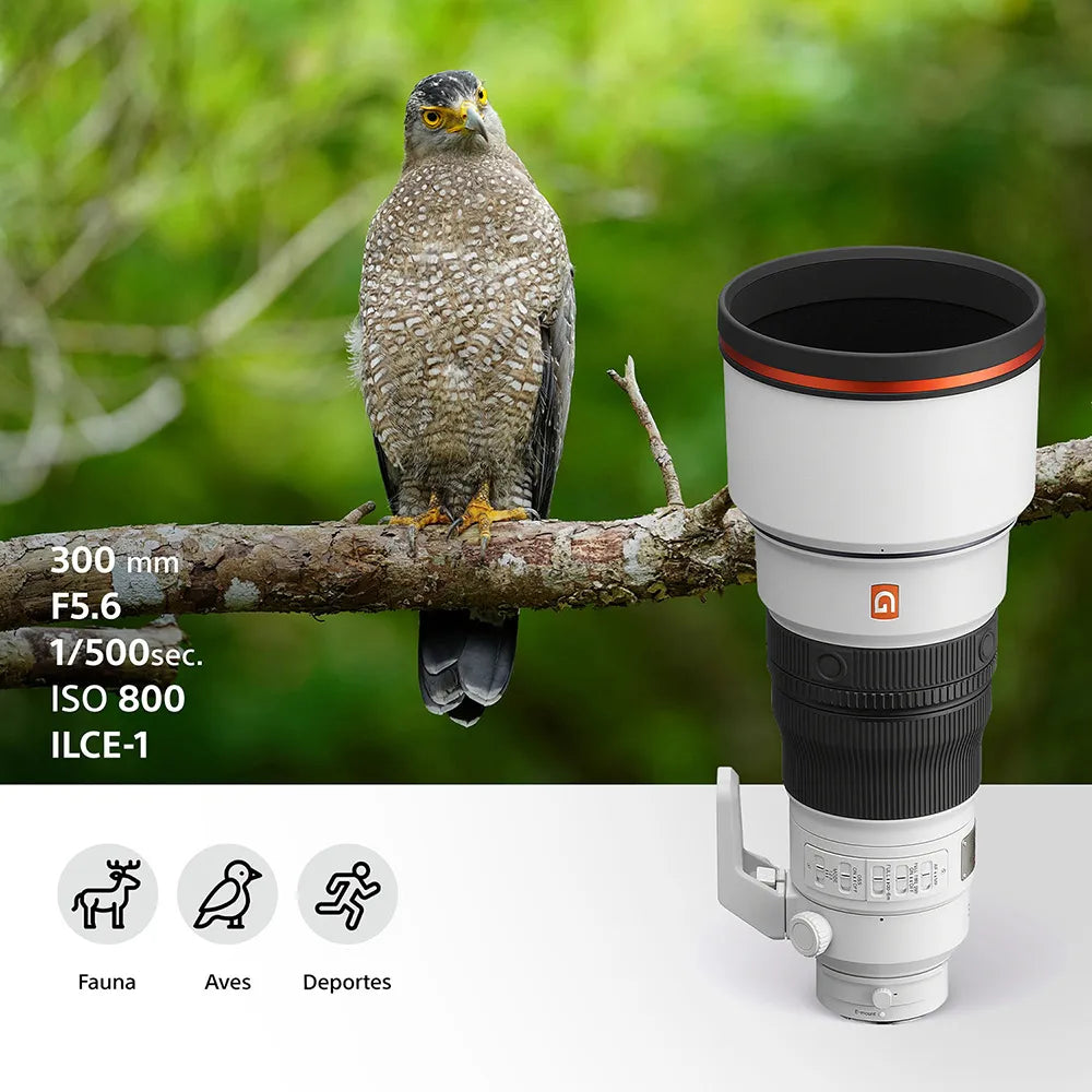 FE 300 mm F2.8 GM OSS SEL300F28GM
