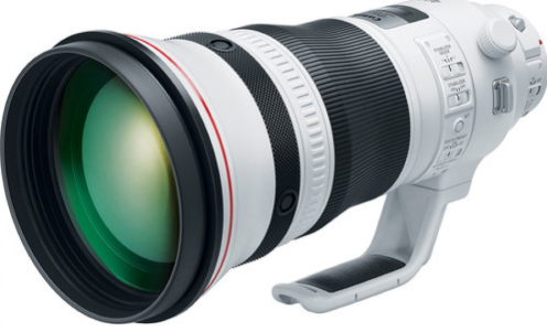 Lente EF 400mm f/2.8L IS III USM