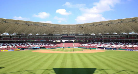 Estadio de Beisbol