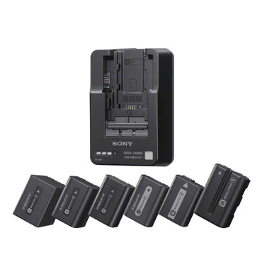 Cargador de batería  BC-QM1//C E33