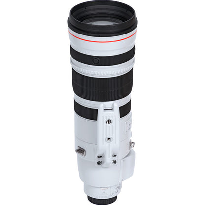 Objetivo Canon EF 200-400 mm f/4L IS USM con extensor 1,4x