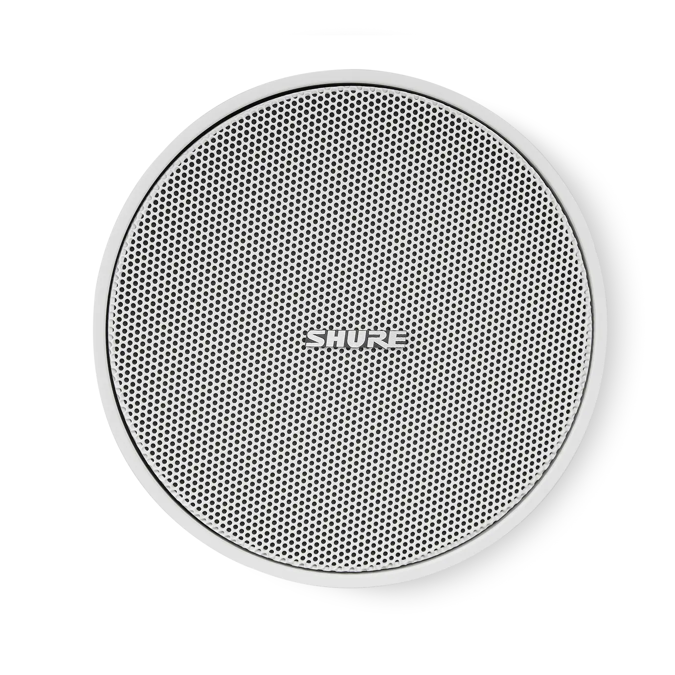 Mini altavoz Pasivo Colgante MXP-1W